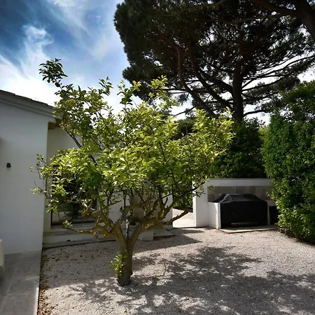 Bacchus Ramatuelle, Piscine, 800m! * Saint Tropez