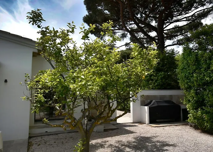 Bacchus Ramatuelle, Piscine, 800m! * Saint-Tropez